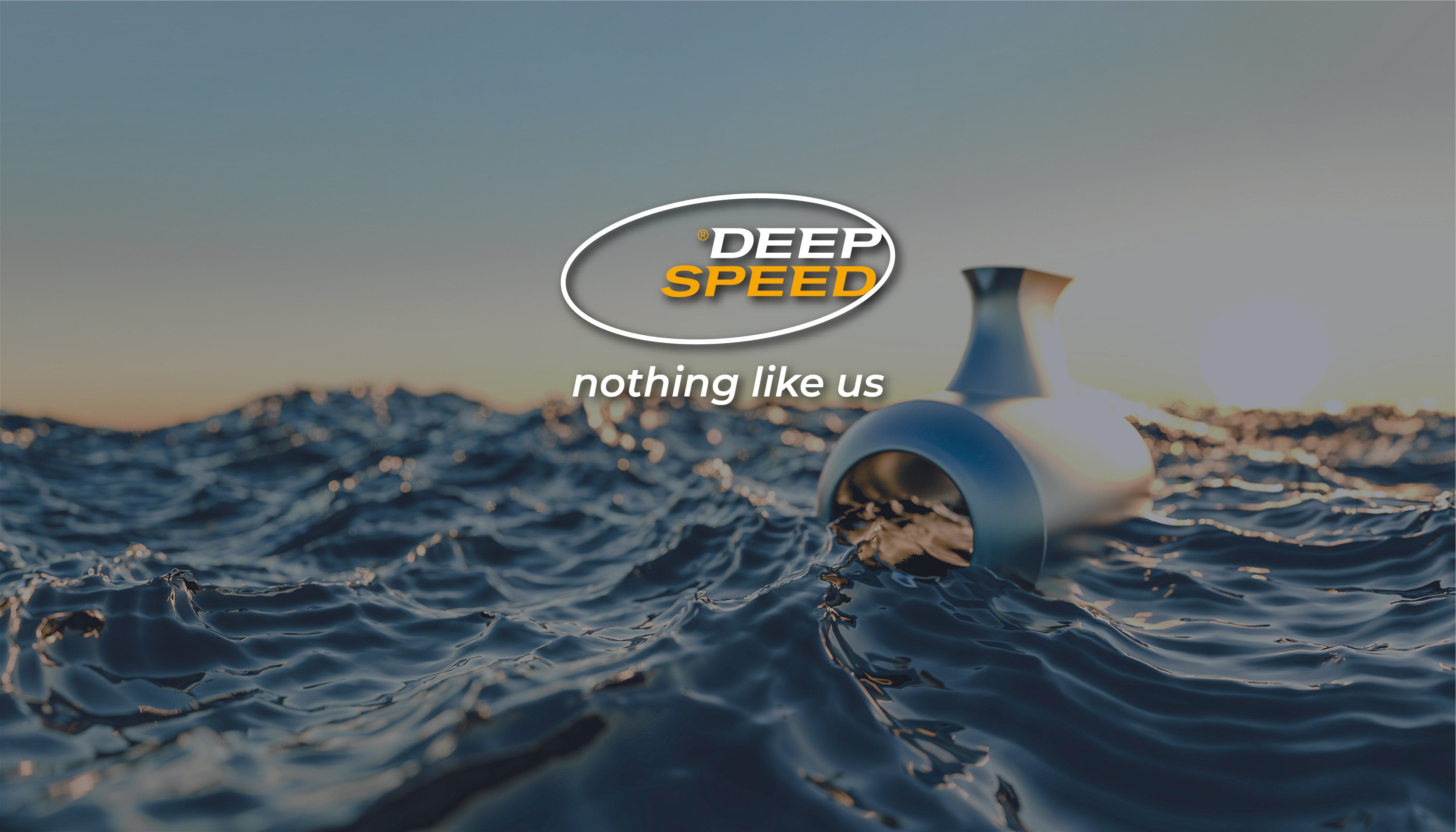 deepspeed-crowdfundme